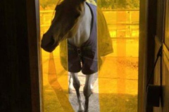 istalobaimg_7647-e1540654121657-768x1024