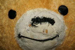 pluss_sarga_medve_ilyen_volt_3614