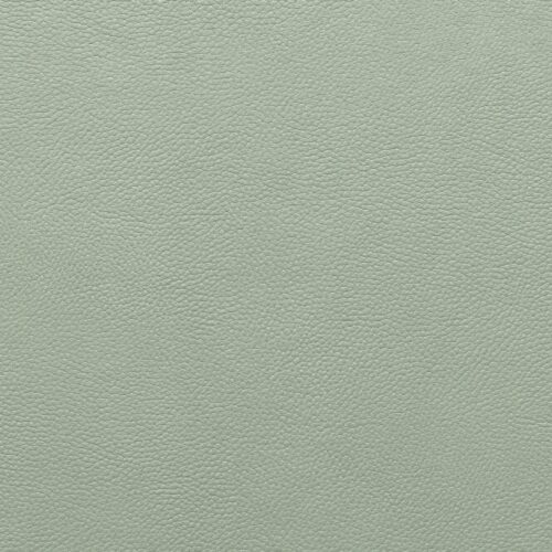 PROVANCE 9460 menta