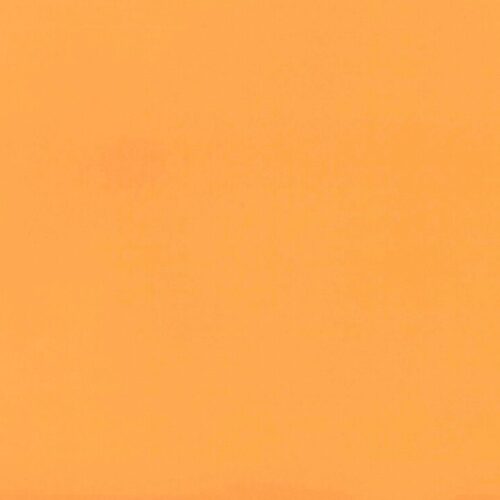 Dynamic 29 Attractive Orange