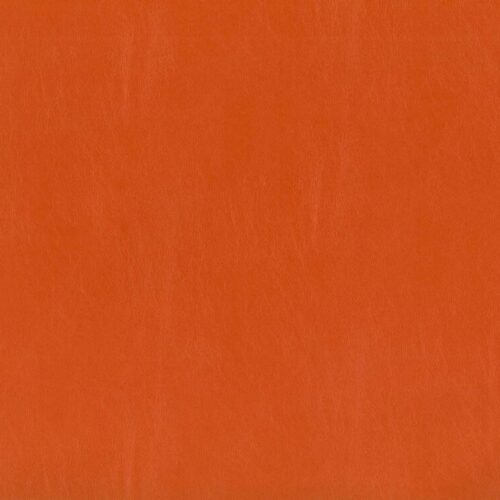 Ocean 29 Orange Roughy