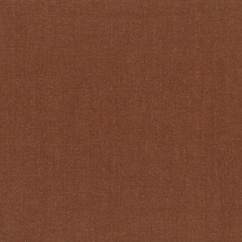 Sahara 49 Sensational Brown