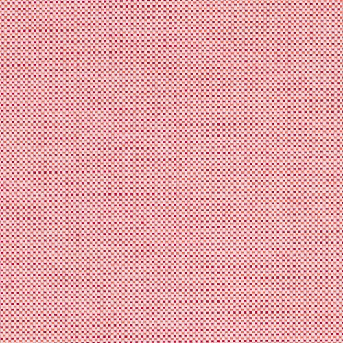 Acry Spark Coral 305